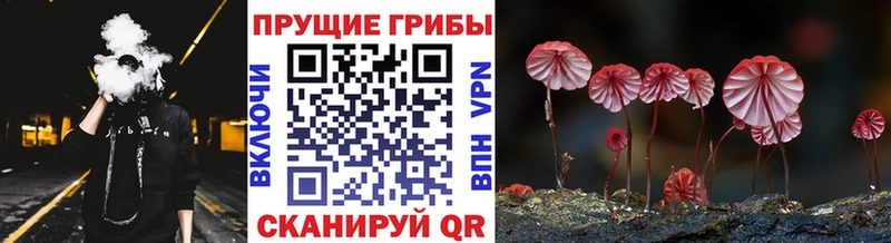 Галлюциногенные грибы Magic Shrooms  Купить  Ясногорск 
